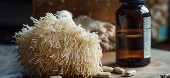 lion's mane supplement